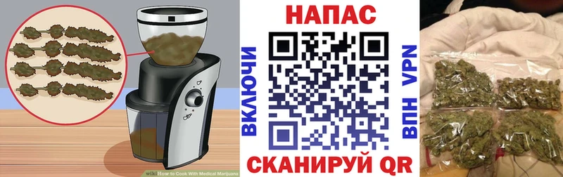 Canna-Cookies марихуана  Суджа 